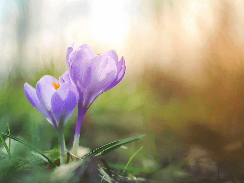 How to Spend Spring Break in Big Bear