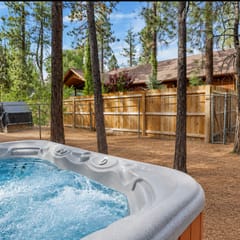 1184-All Season Alpine Retreat