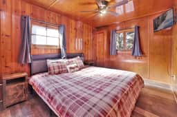 0102-Little Pines - Image 5