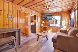 0102-Little Pines - Image 4