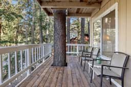 2060-Tree Top Views - Image 5