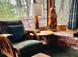 339-The Wilkie Cabin - Image 5