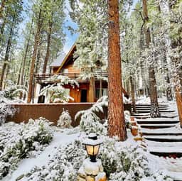 339-The Wilkie Cabin - Image 4