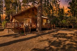 1473-Forest Treehouse - Image 3