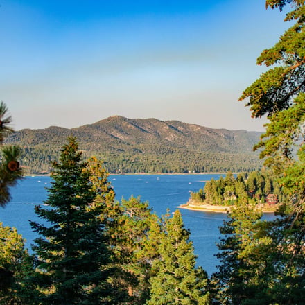 Big Bear Lake viewed through pine trees