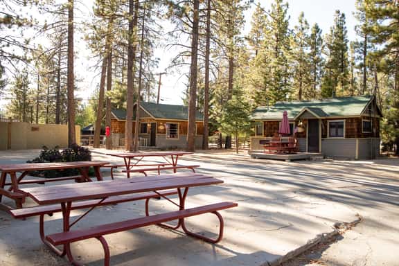 0111-Twin Pines - Image 1