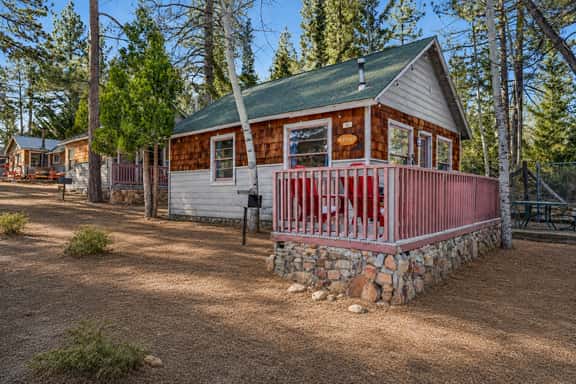 0106-Lupine - Image 1