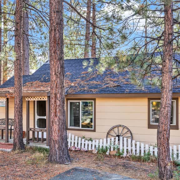 1438-Pines 23 - Image 1