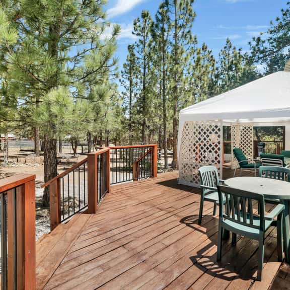 2005- One Hundred Pines Ranch - Image 1