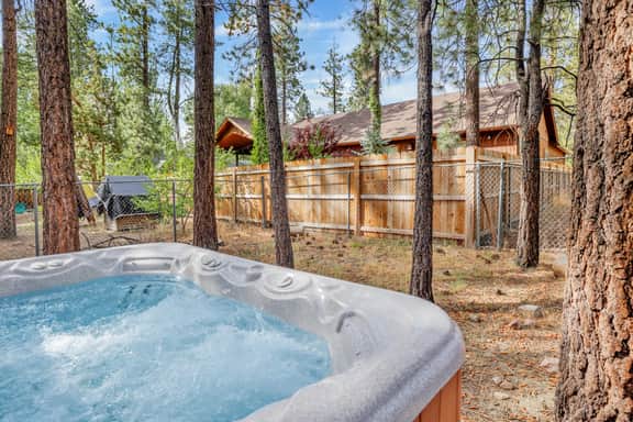 1184-All Season Alpine Retreat - Image 2