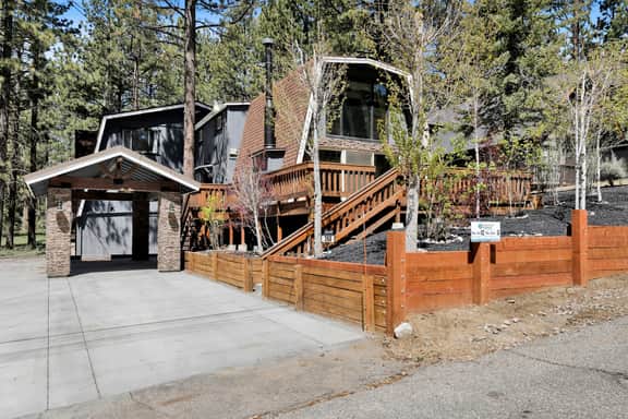 2473-Grand Bearadise - Image 2