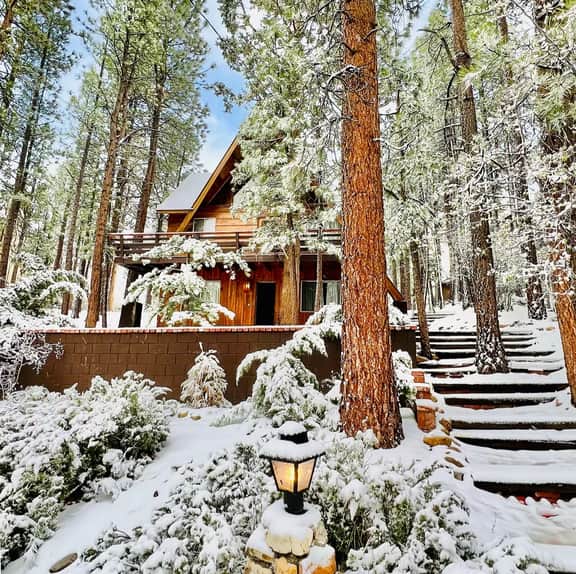 339-The Wilkie Cabin - Image 4