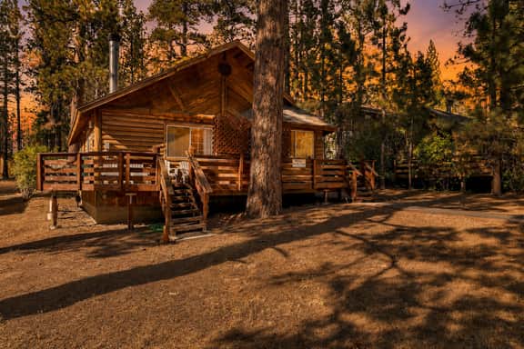 1473-Forest Treehouse - Image 3
