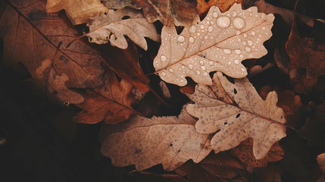 Top Fall Events in Big Bear