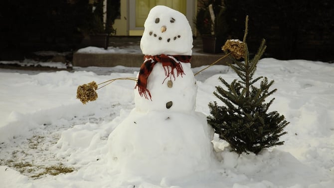 Winter is Here!
