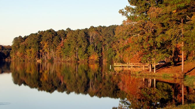 5 Fun Big Bear Facts