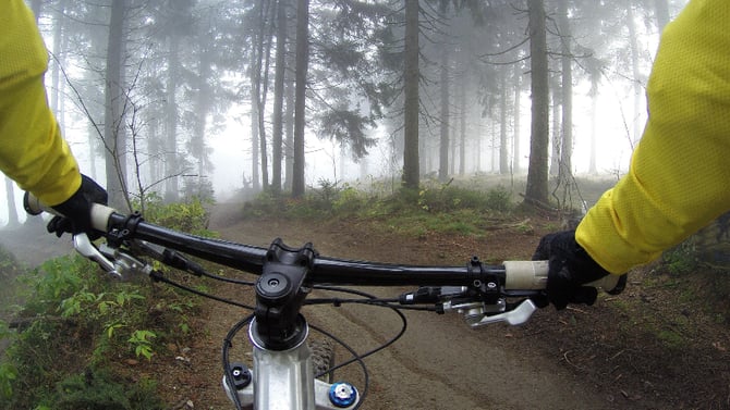 Big Bear Spots, Off the Beaten Path, that Only Locals Know About
