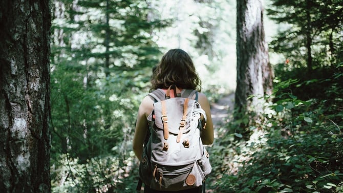 Top Big Bear Hiking Trails This Fall