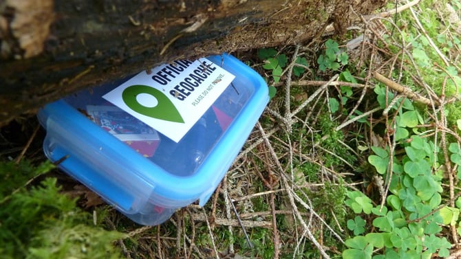Big Bear Things to Do: Geocaching