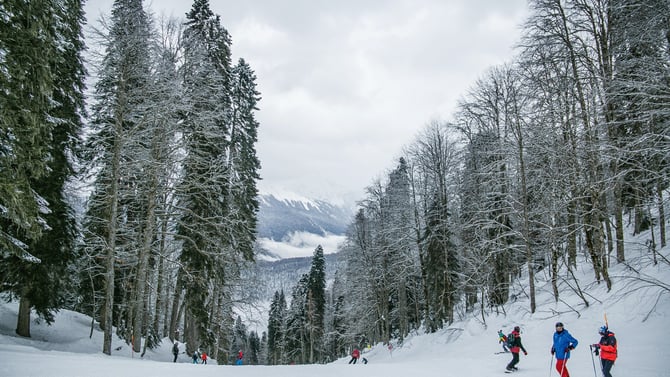 Guide to Big Bear Things to Do in Winter