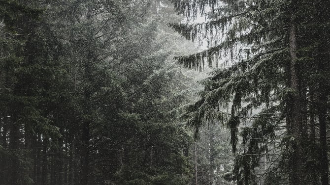 Reasons to Visit Big Bear in the Winter