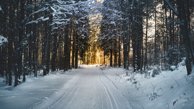 Activities to Enjoy Before the Snow Arrives